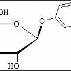 3150-24-1, 200422-18-0對硝基苯-β-D-半乳糖苷, 4-硝基苯-β-D-半乳糖苷,PNPG