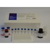 Osteocalcin Specific ELISA Kit