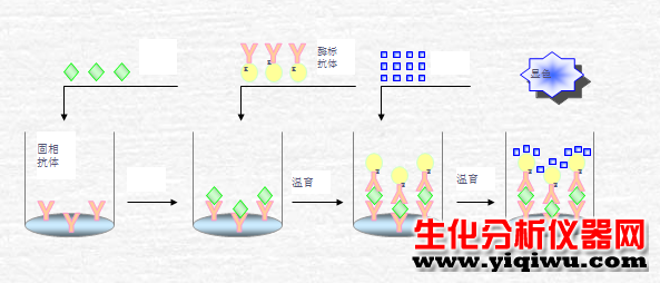 圖片1